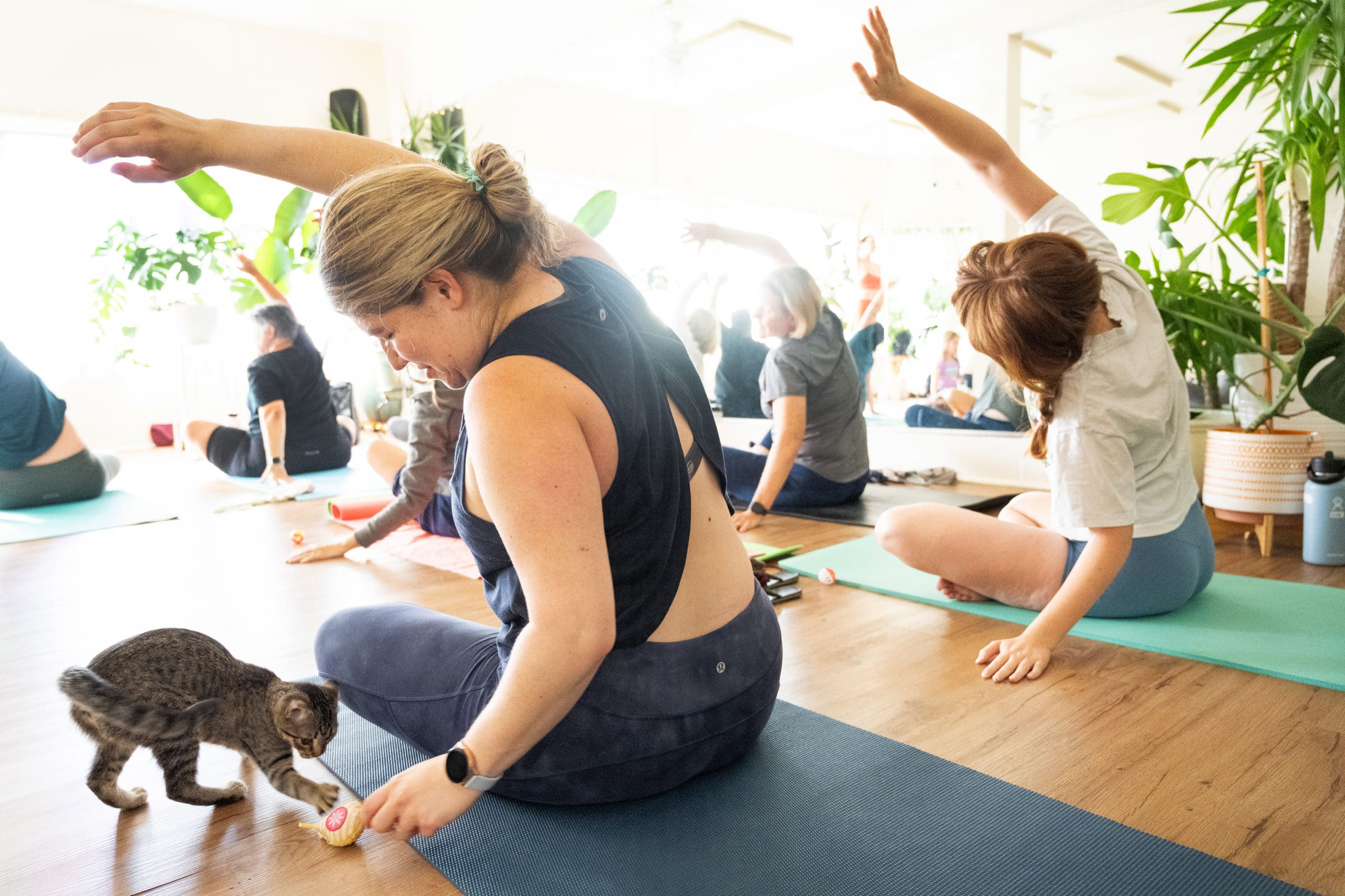 You are currently viewing Business Storytelling: Kitten Yoga at her Elevated with Front Street Animals